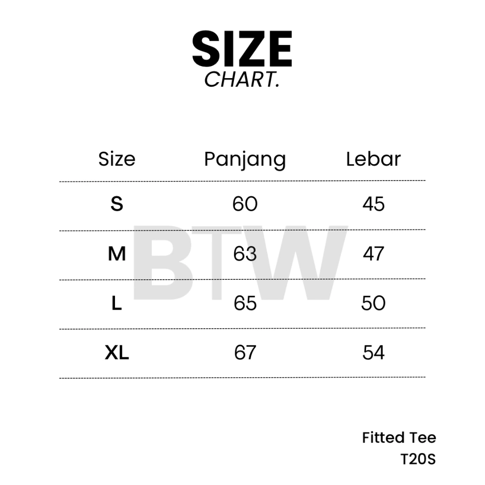 White T-Shirt T20S